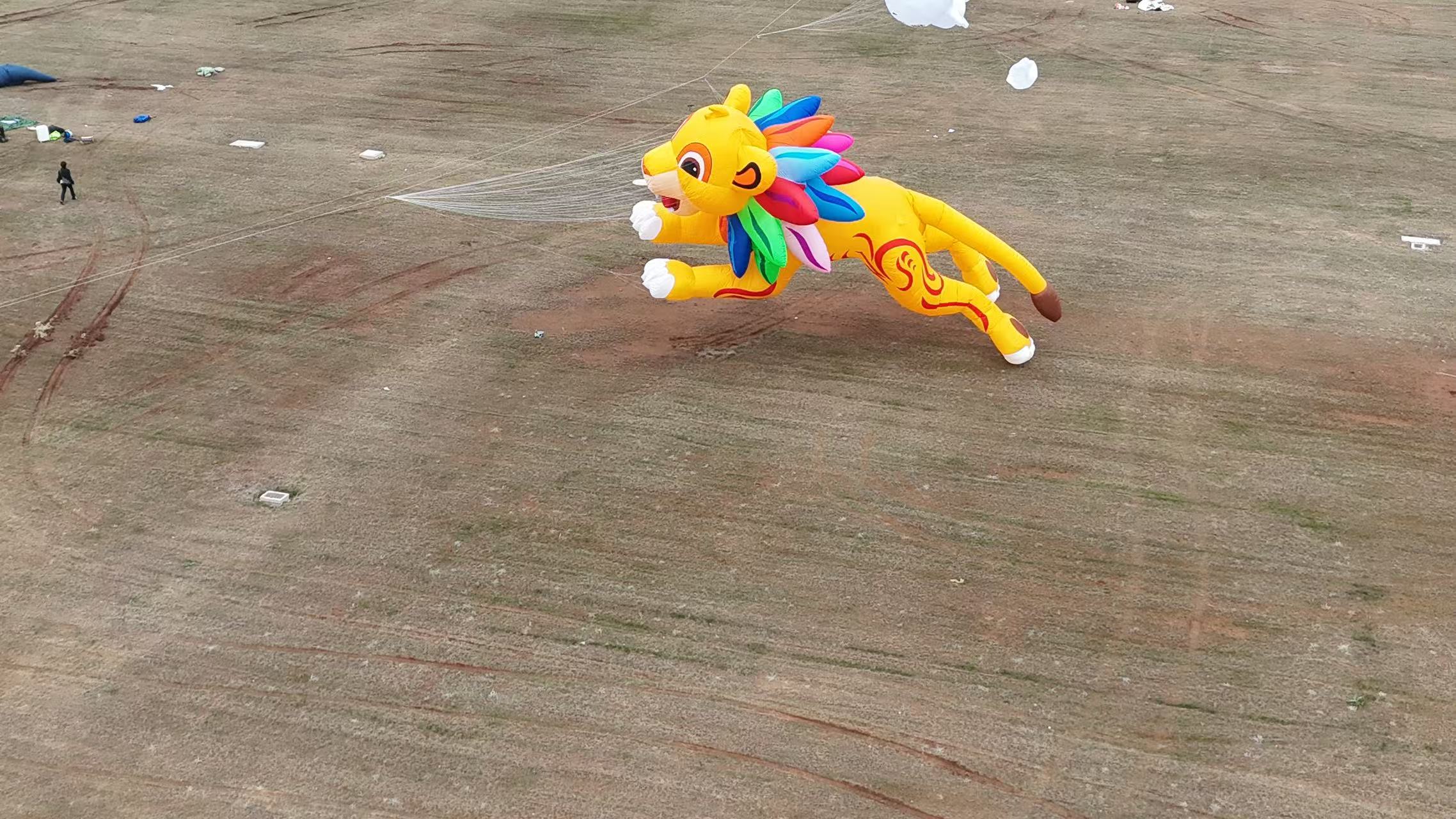 牡丹江市品牌风筝定制风筝放飞活动策划 - 价格